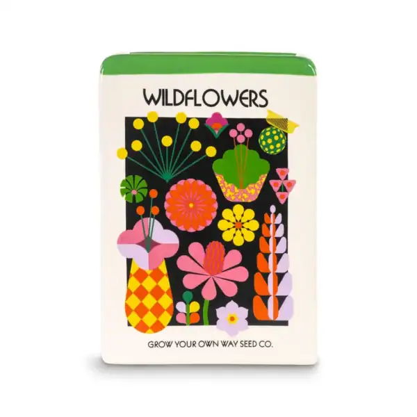 Bando Ceramic Vase - Wildflower Seeds | Colourful Home Decor