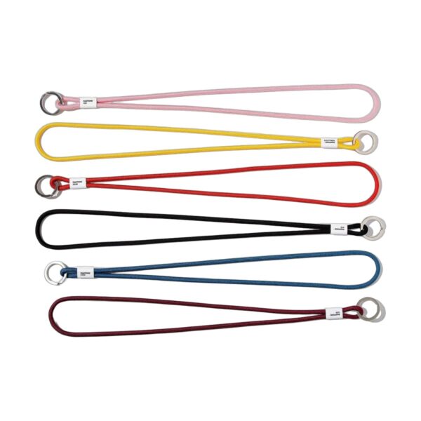 Pantone Long Keychain