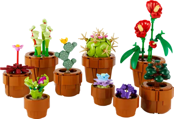 LEGO Botanical Tiny Plants, Succulents - Image 2