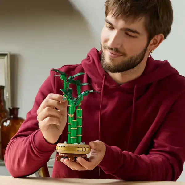 LEGO Lucky Bamboo 10344 - Image 3