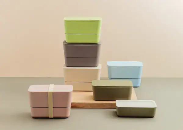 Takenaka Bento Flat Dual Box | Slim Double Layer Lunch Box