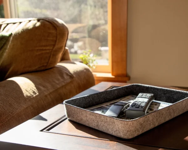 Paper Tray Tapered Storage Bins with remote in it.