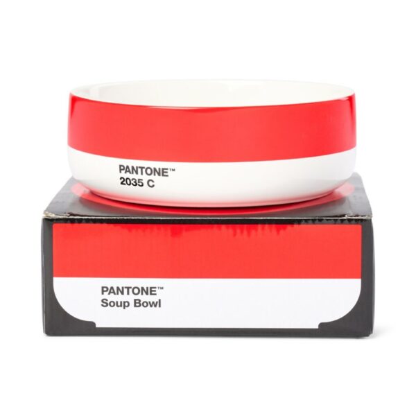 Pantone Soup Bowls - Image 6