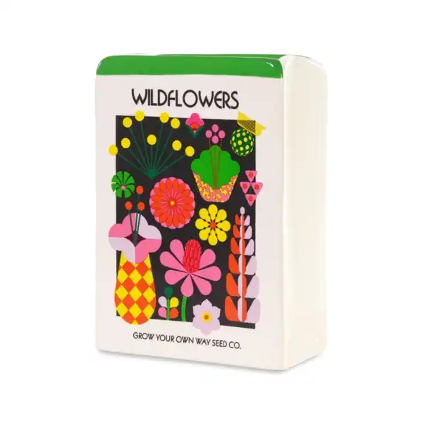 Bando Ceramic Vase - Wildflower Seeds | Colourful Home Decor - Image 3