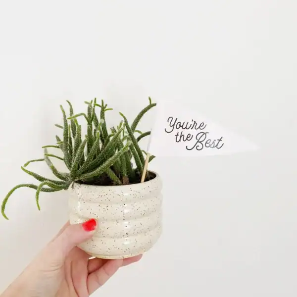 Celebratory Flags - Image 11