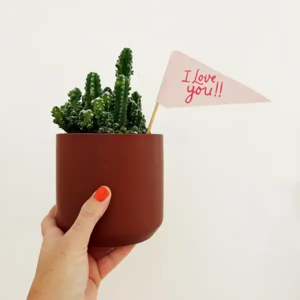 Celebratory Flags - Image 9