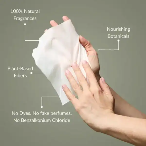 NOSHINKU Eucalyptus Hand Sanitizing Wipes - Image 2