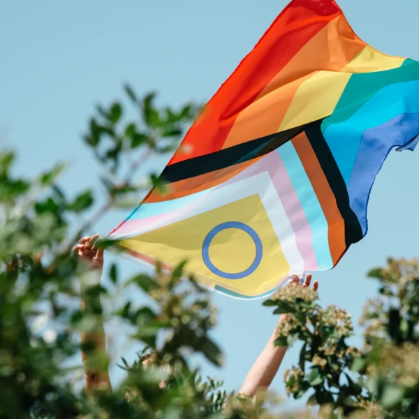 Soap So Co - Judy - Image 2