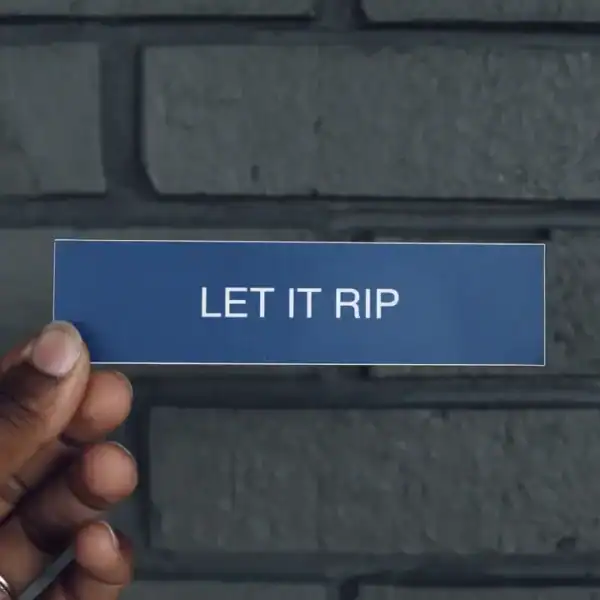 The Bear Let It Rip Sticker