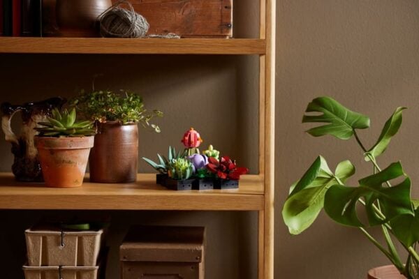 Lego Succulents Botanicals - Image 5