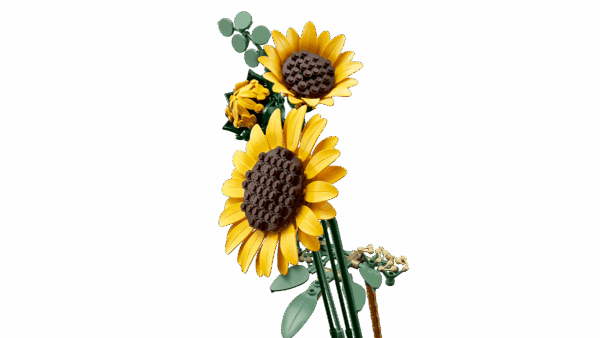 LEGO Botanicals Sunflower Bouquet - Image 4